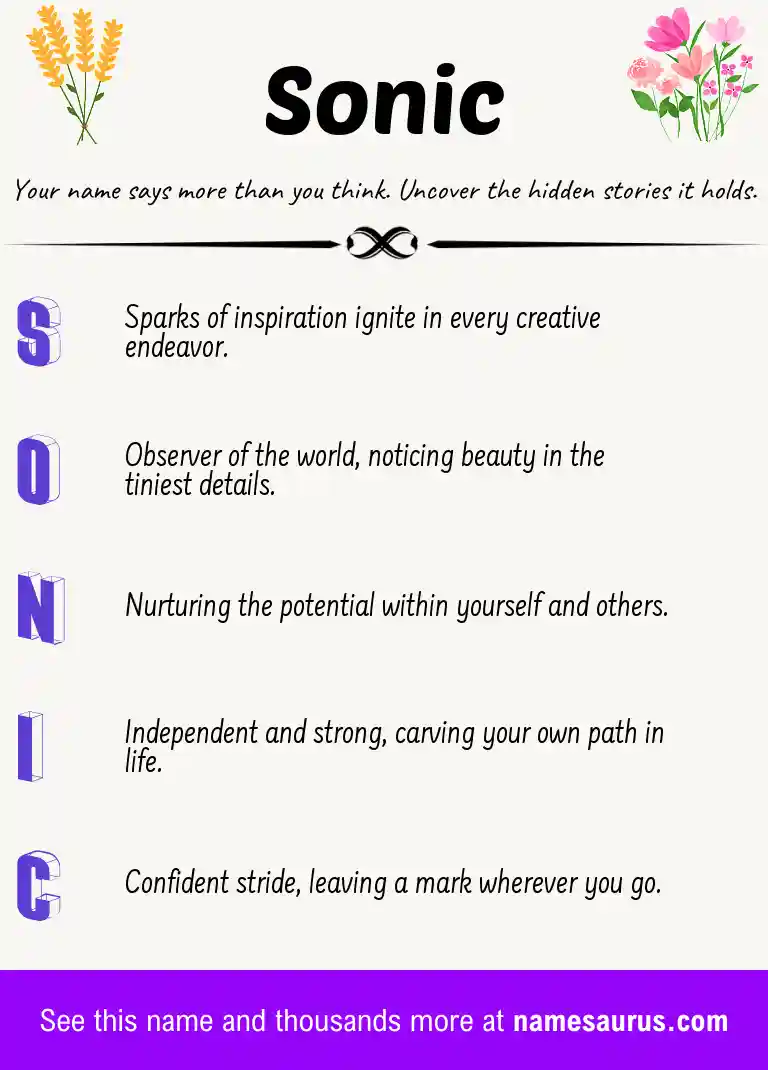 Acrostic poem about Sonic.