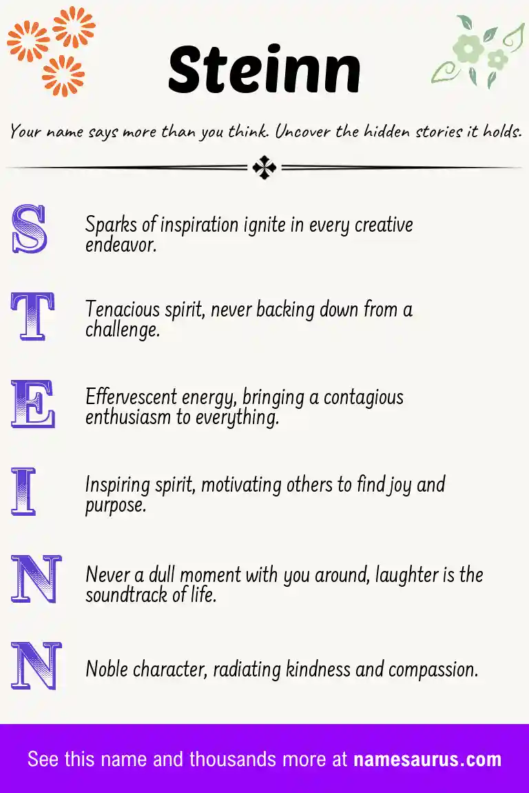 Acrostic poem about Steinn.