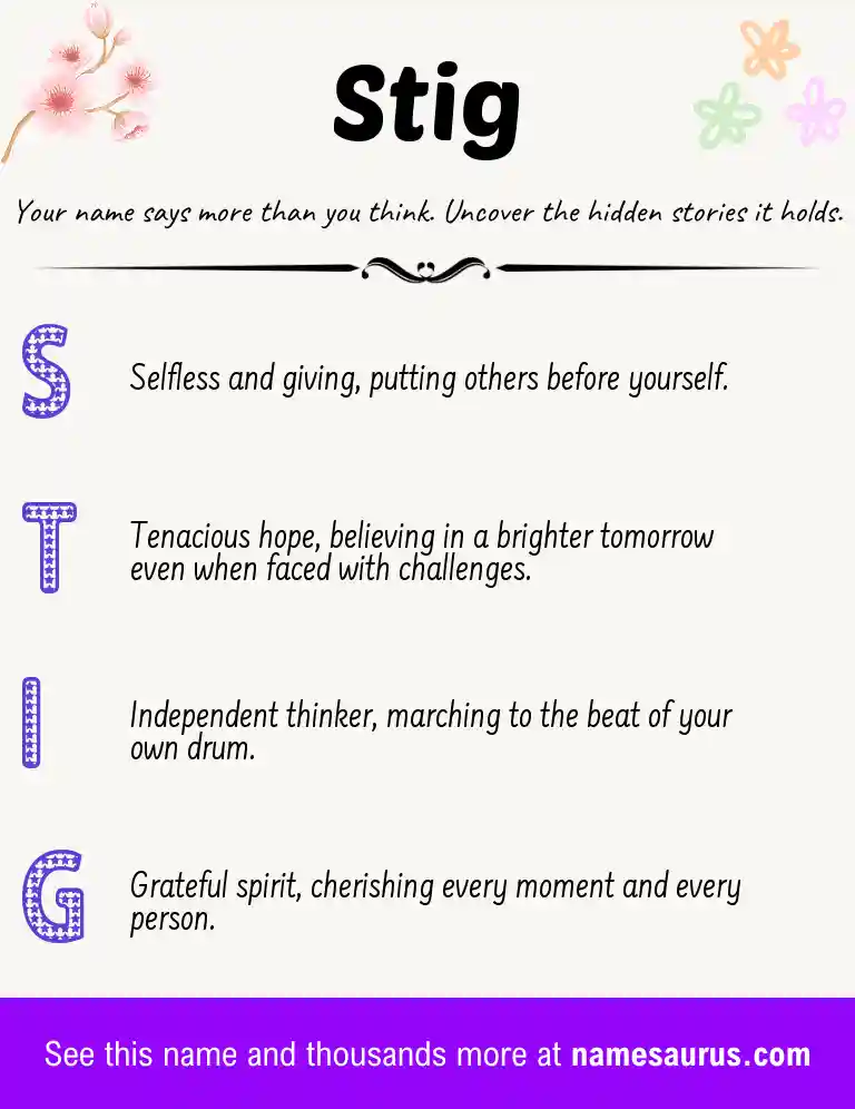 Acrostic poem about Stig.