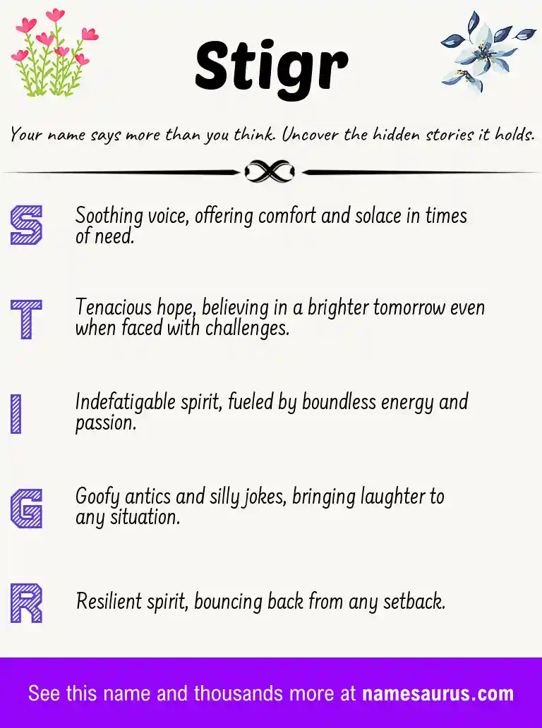 Acrostic poem about Stigr.