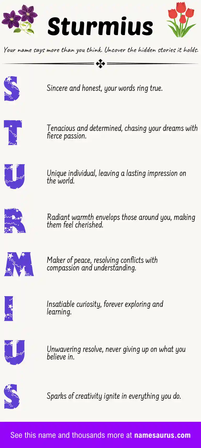 Acrostic poem about Sturmius.