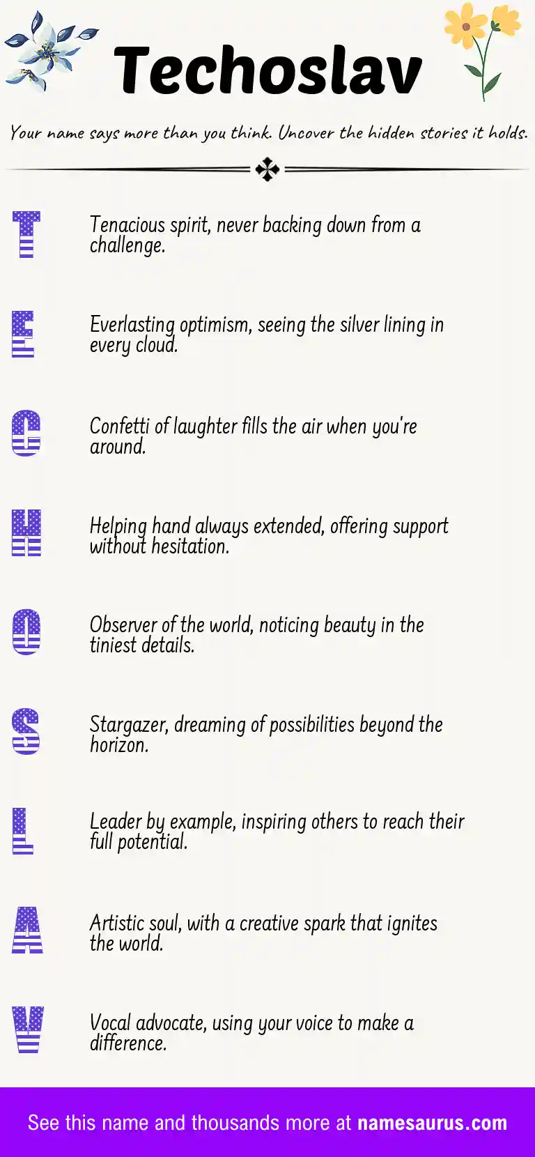Acrostic poem about Techoslav.