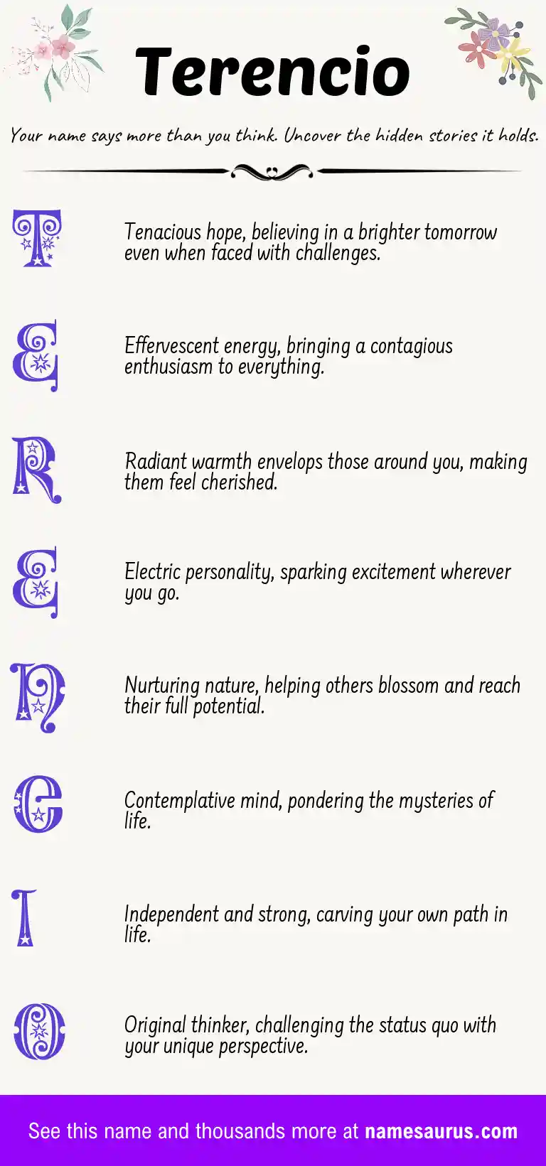 Acrostic poem about Terencio.
