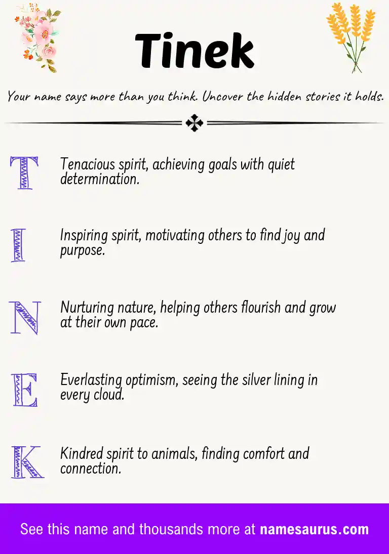 Acrostic poem about Tinek.