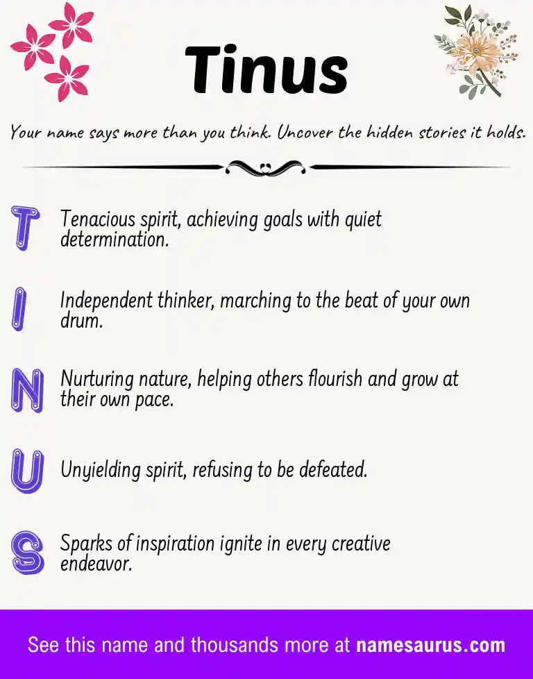 Acrostic poem about Tinus.