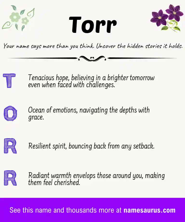 Acrostic poem about Torr.