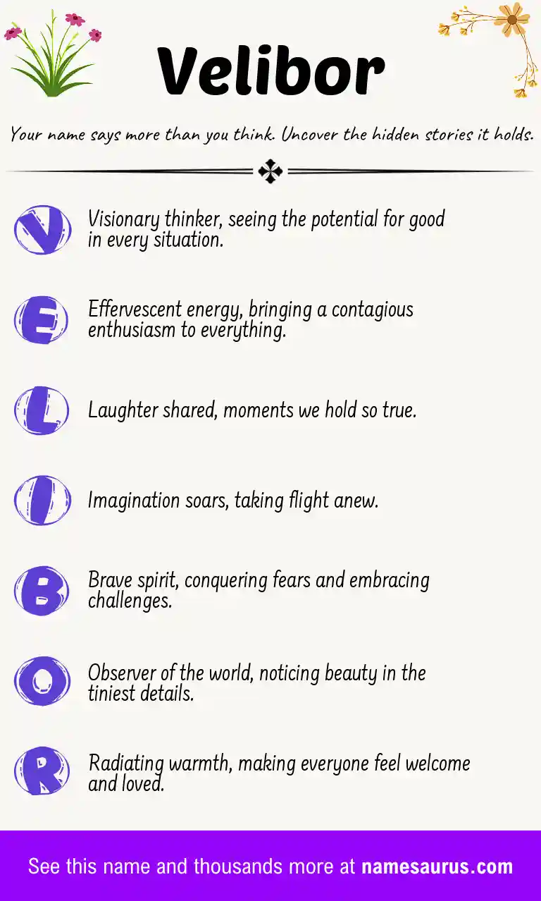 Acrostic poem about Velibor.