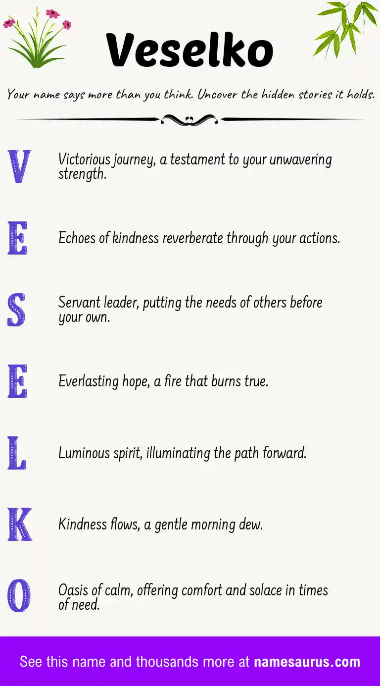 Acrostic poem about Veselko.