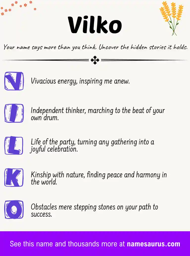 Acrostic poem about Vilko.