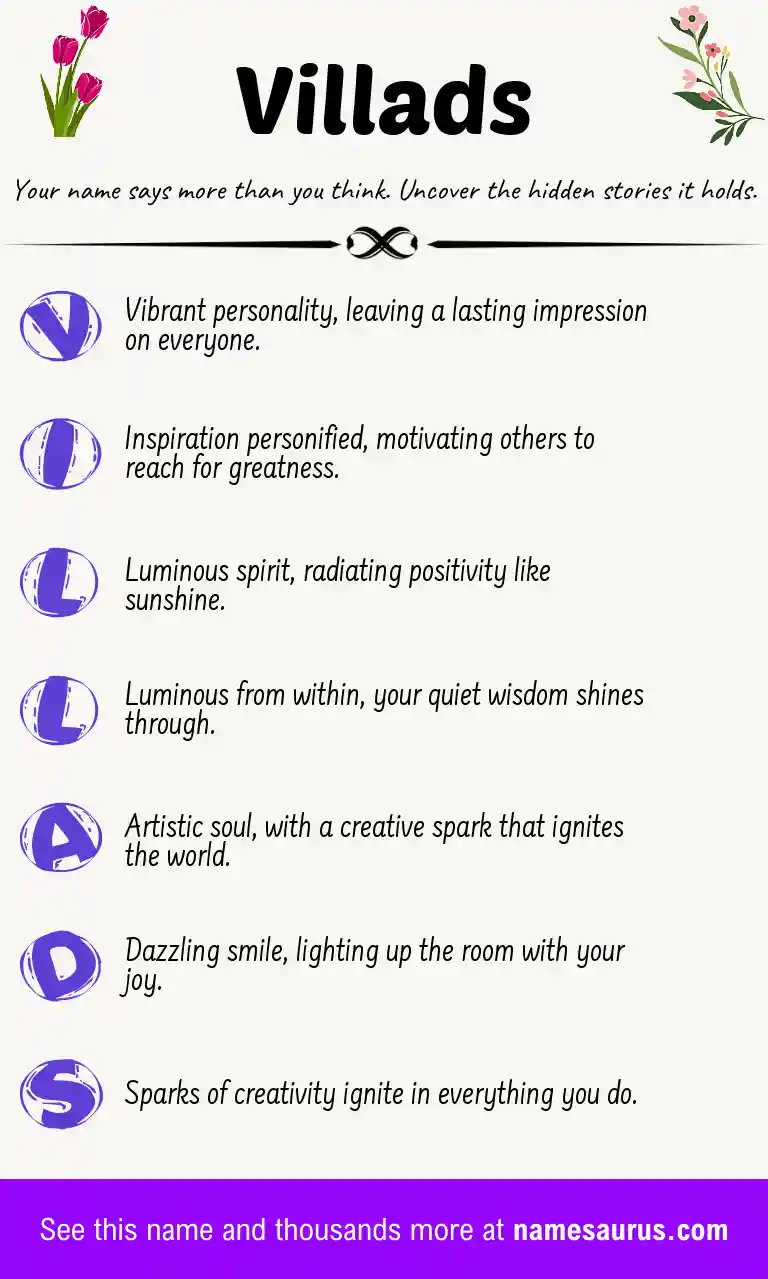 Acrostic poem about Villads.