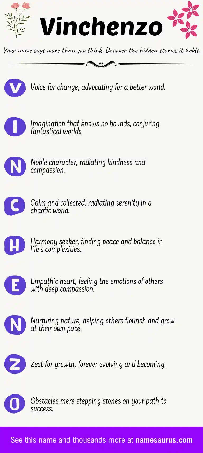 Acrostic poem about Vinchenzo.