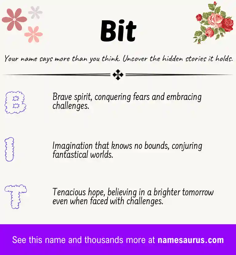 Acrostic poem about Bit.