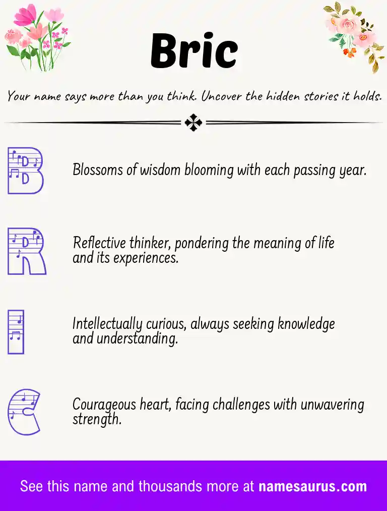 Acrostic poem about Bric.