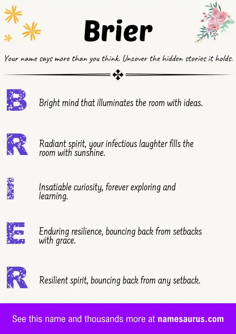Acrostic poem about Brier.