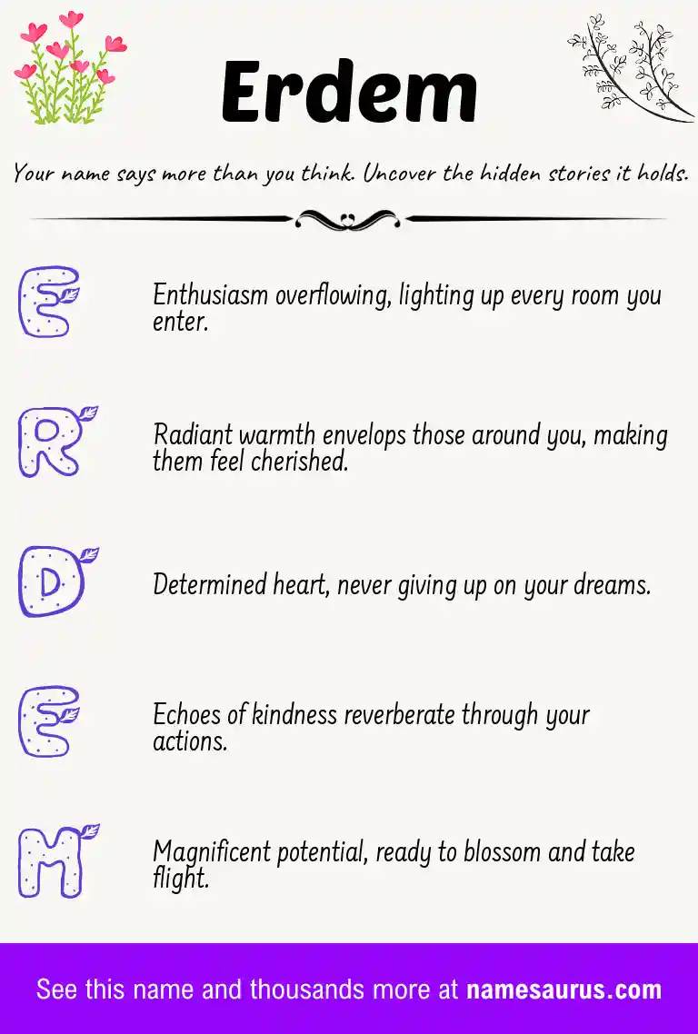 Acrostic poem about Erdem.