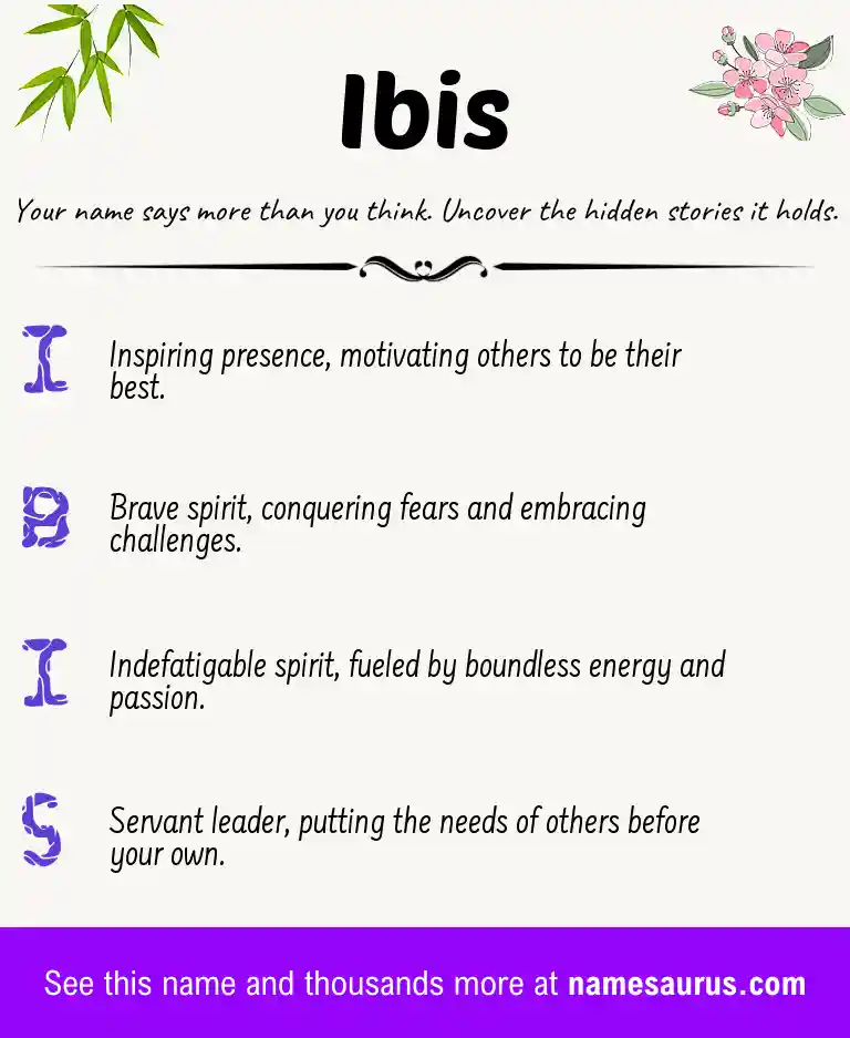Acrostic poem about Ibis.