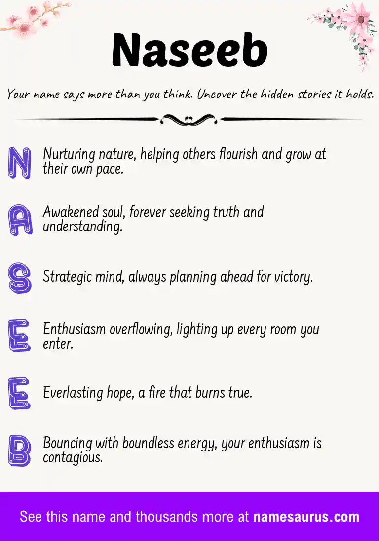 Acrostic poem about Naseeb.