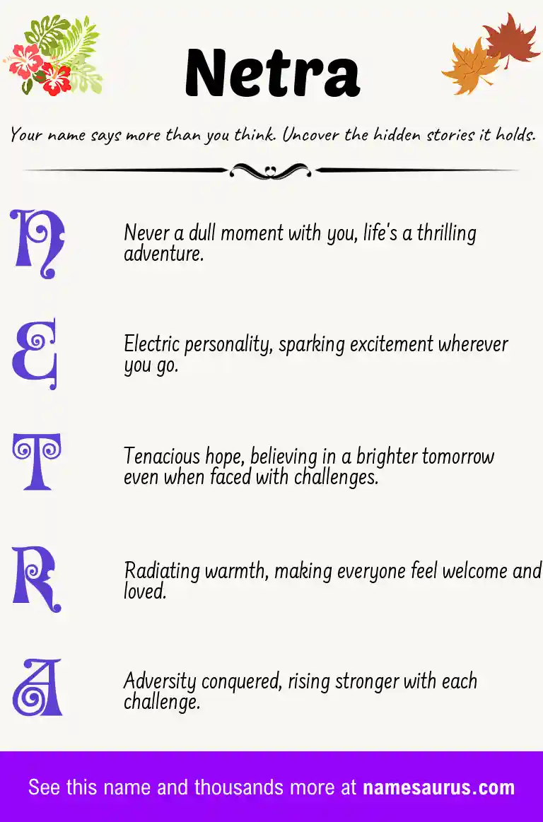 Acrostic poem about Netra.