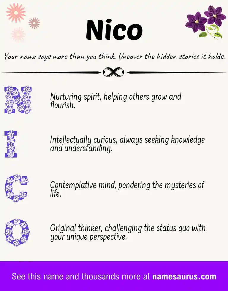 Acrostic poem about Nico.