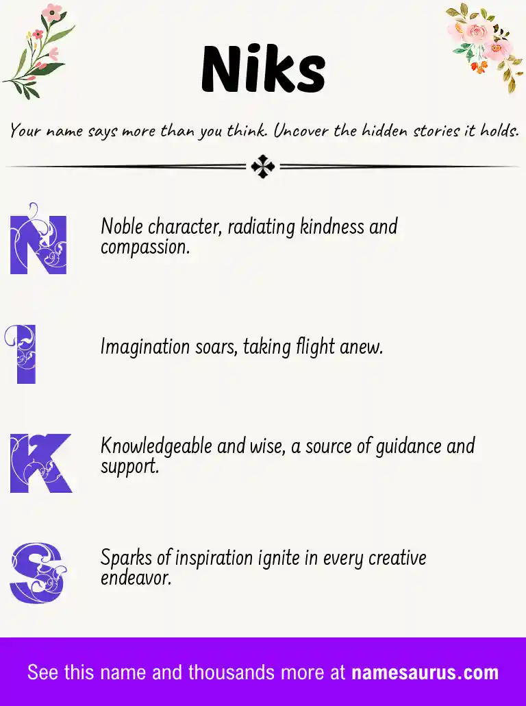 Acrostic poem about Niks.