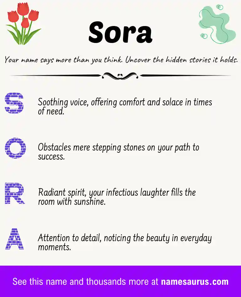 Acrostic poem about Sora.