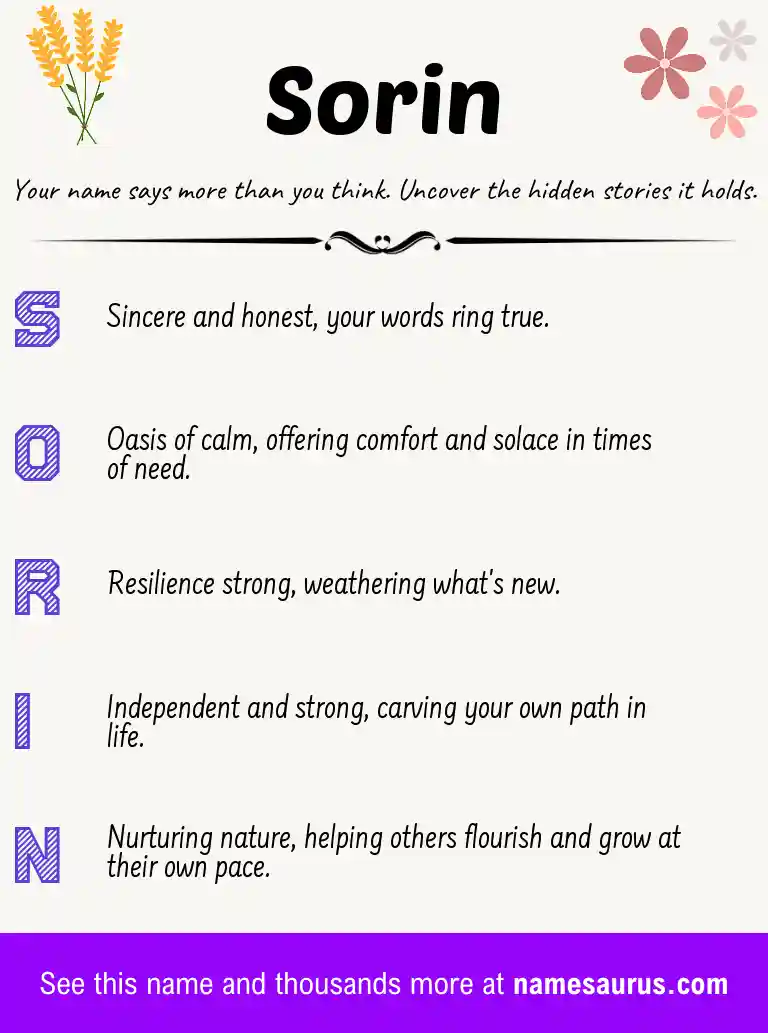 Acrostic poem about Sorin.