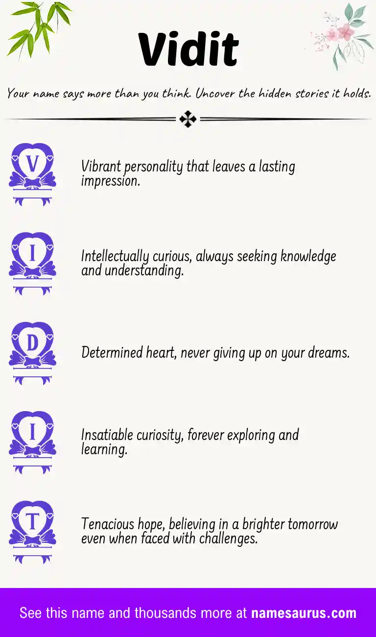 Acrostic poem about Vidit.