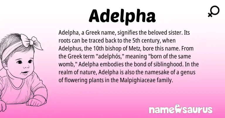 Infographic about Adelpha name meaning, Adelpha is a name from Greek origin(s).