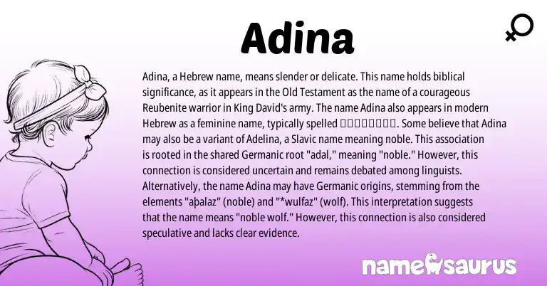 Infographic about Adina name meaning, Adina is a name from Slavic, Germanic, Hebrew origin(s).