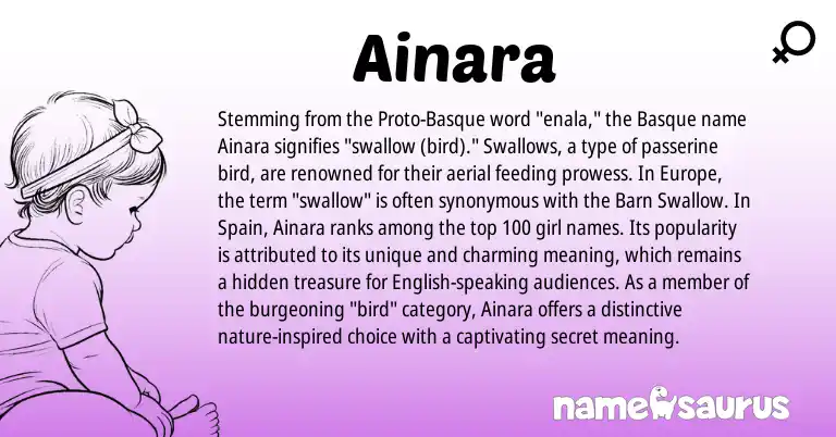 Infographic about Ainara name meaning, Ainara is a name from Spain, Basque, English origin(s).