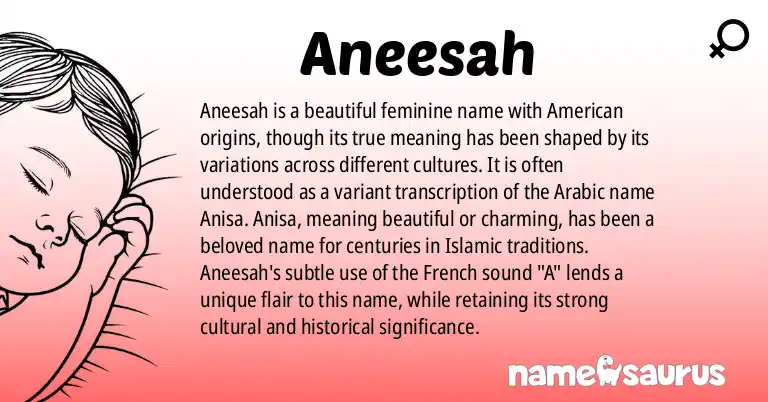 Infographic about Aneesah name meaning, Aneesah is a name from American origin(s).