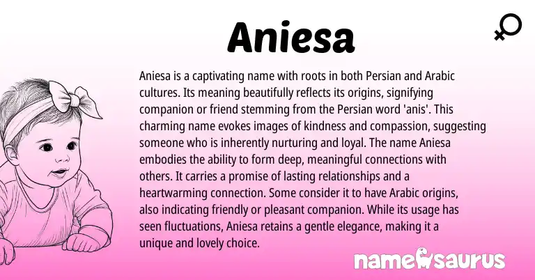 Infographic about Aniesa name meaning, Aniesa is a name from Persian origin(s).