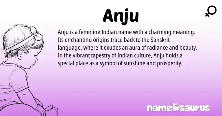 Infographic about Anju name meaning, Anju is a name from Sanskrit, Indian origin(s).