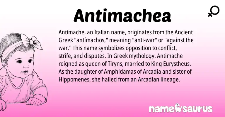 Infographic about Antimachea name meaning, Antimachea is a name from Ancient Greek, Greek, Italian origin(s).