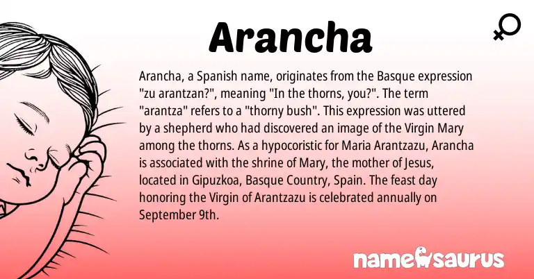 Infographic about Arancha name meaning, Arancha is a name from Spain, Spanish, Basque origin(s).