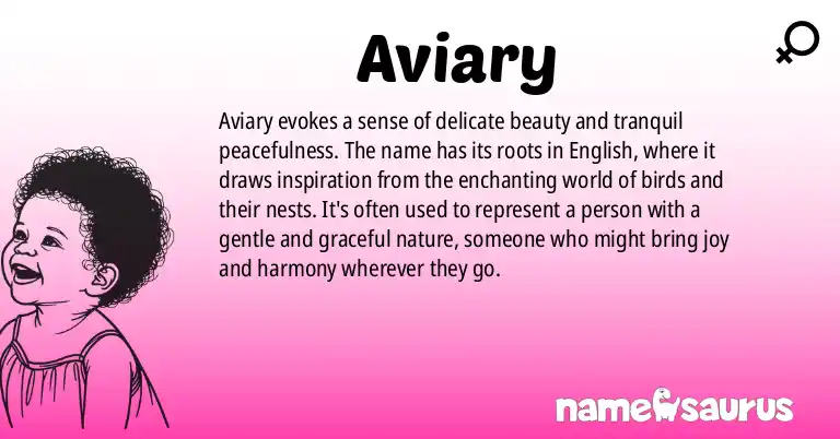 Infographic about Aviary name meaning, Aviary is a name from English origin(s).