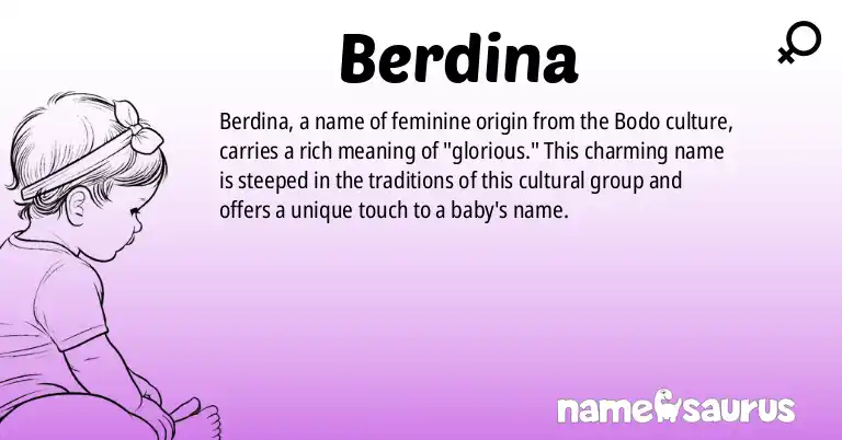 Infographic about Berdina name meaning, Berdina is a name from Bodo origin(s).