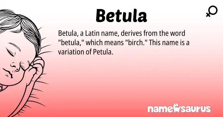 Infographic about Betula name meaning, Betula is a name from Latin origin(s).