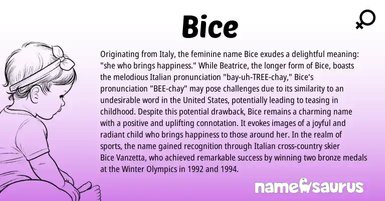Infographic about Bice name meaning, Bice is a name from United States, Italian origin(s).
