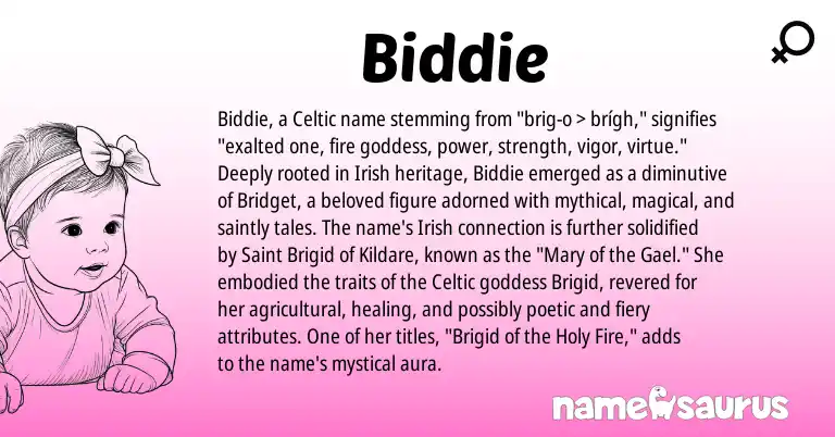 Infographic about Biddie name meaning, Biddie is a name from Irish, Celtic origin(s).
