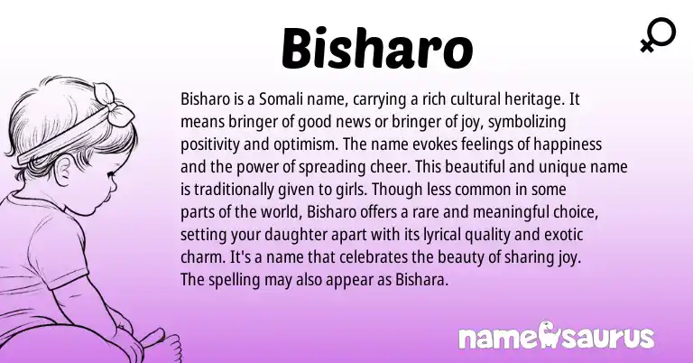 Infographic about Bisharo name meaning, Bisharo is a name from Somali origin(s).