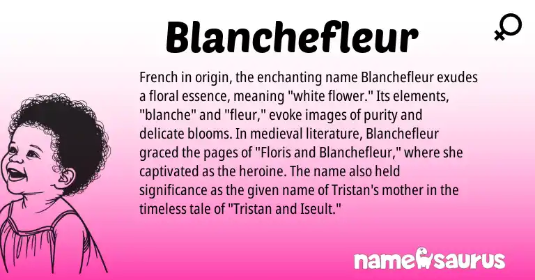 Infographic about Blanchefleur name meaning, Blanchefleur is a name from French origin(s).