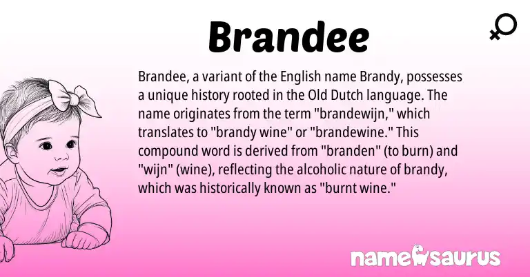 Infographic about Brandee name meaning, Brandee is a name from Old Dutch, English origin(s).