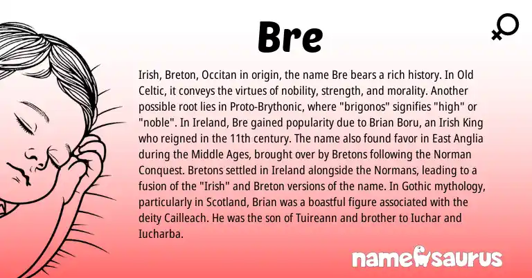 Infographic about Bre name meaning, Bre is a name from Irish, Old Celtic, Breton, Proto-Brythonic, Ireland, Occitan, Bretons, Norman, Gothic origin(s).