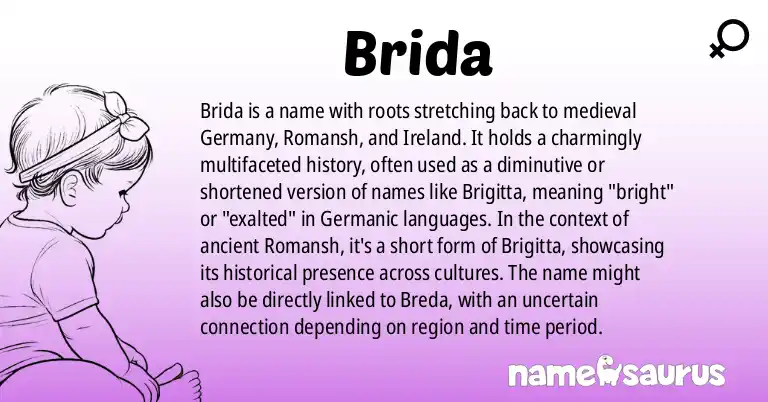 Infographic about Brida name meaning, Brida is a name from Medieval German, Romansh, Irish origin(s).