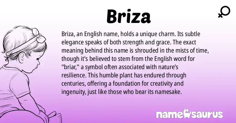 Infographic about Briza name meaning, Briza is a name from English origin(s).