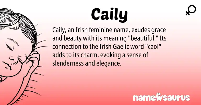 Infographic about Caily name meaning, Caily is a name from Irish, Gaelic origin(s).