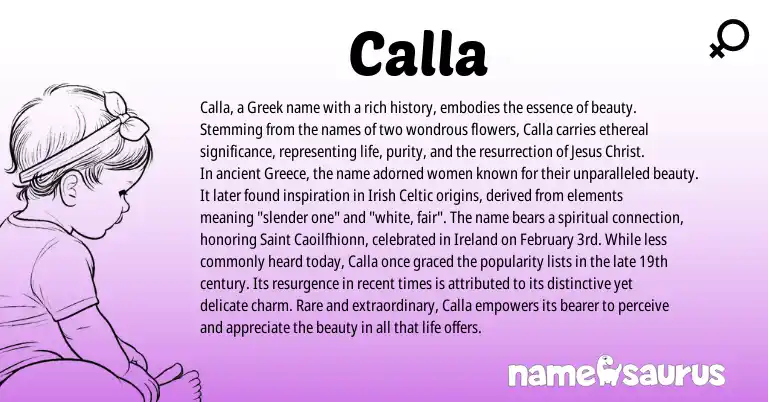 Infographic about Calla name meaning, Calla is a name from Irish, Greece, Ireland, Celtic, Greek origin(s).