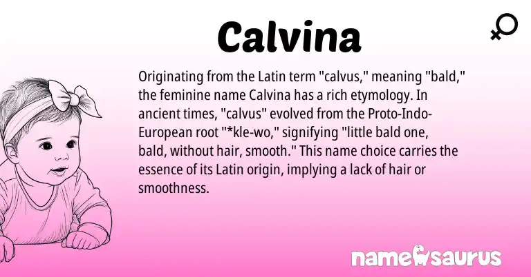 Infographic about Calvina name meaning, Calvina is a name from Latin, European origin(s).