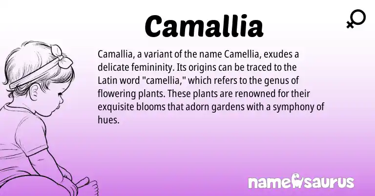 Infographic about Camallia name meaning, Camallia is a name from Latin origin(s).